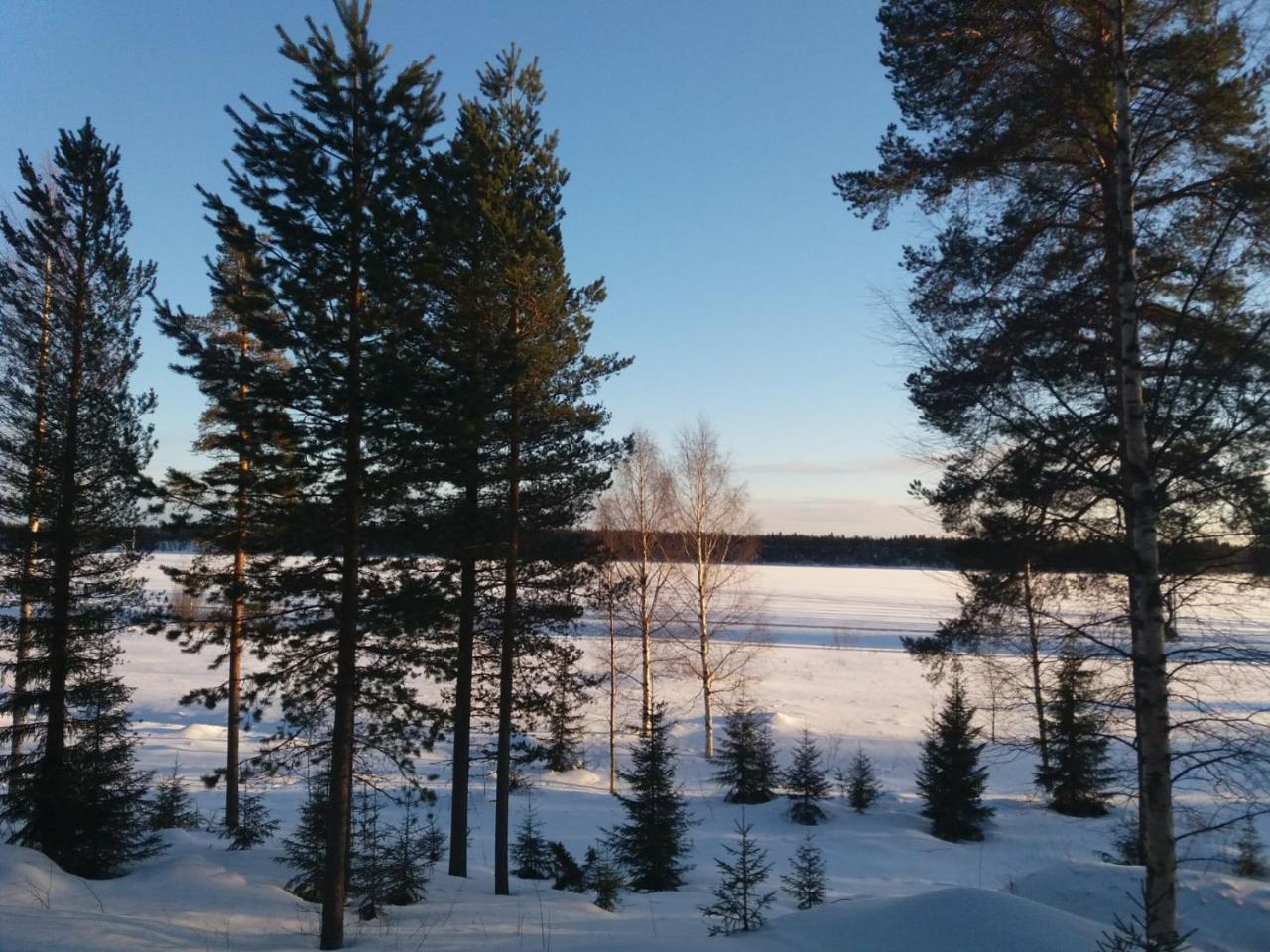 Rieskapaikka Villa Koivu ภายนอก รูปภาพ